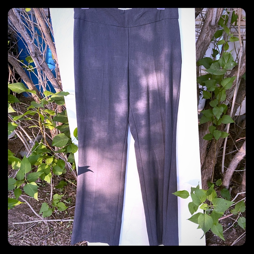 Dress pants